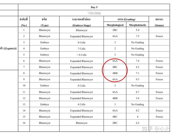 我们之前专门用一篇文章详细介绍了囊胚对于试管婴儿成功率和质量的