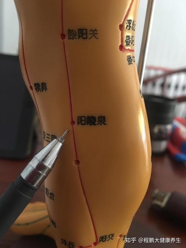 艾灸治百病,灸出好身体,中医养生课堂—第24集