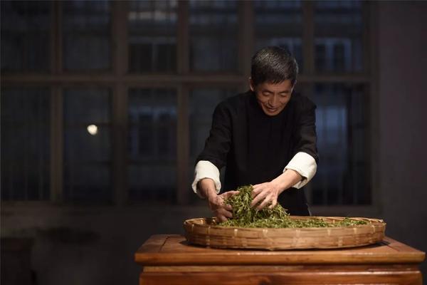 茶叶揉捻关键掌握力道,以"轻-重-轻",用团,揉,搓,抖,翻等手法反复