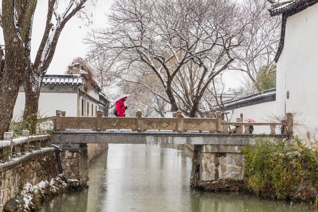 亲眼见证一次落雪的苏州城这个冬天才算是完整