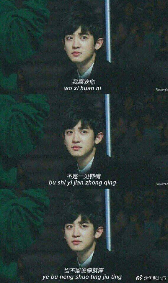 强势表白朴灿烈