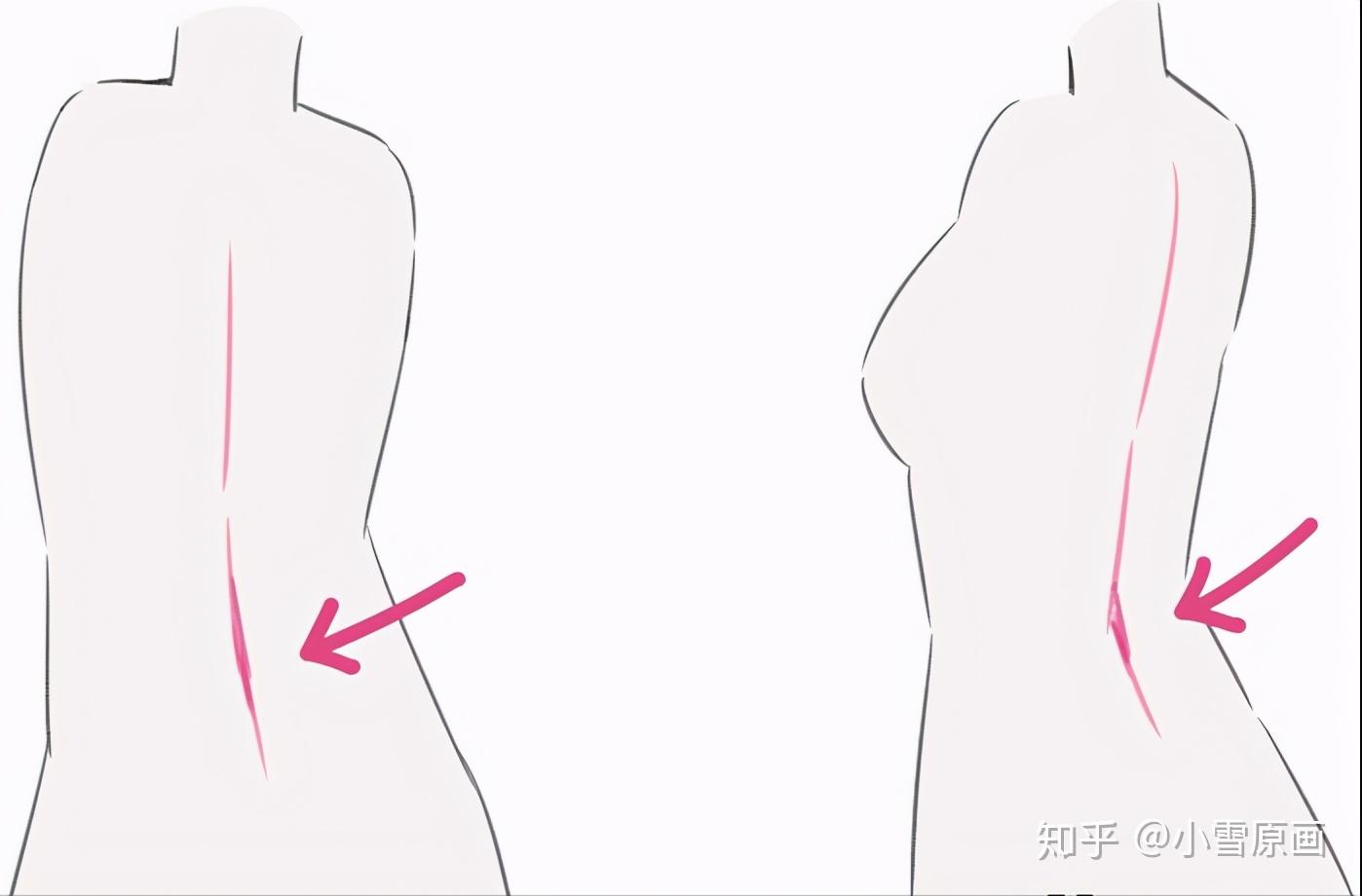 绘画教程动漫背部怎么画教你如何画出有魅力的后背