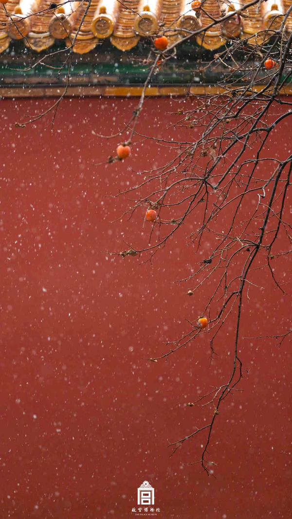 据悉 今年的初雪 较常见平均初雪日偏早8天 一波紫禁城最新雪景图 一