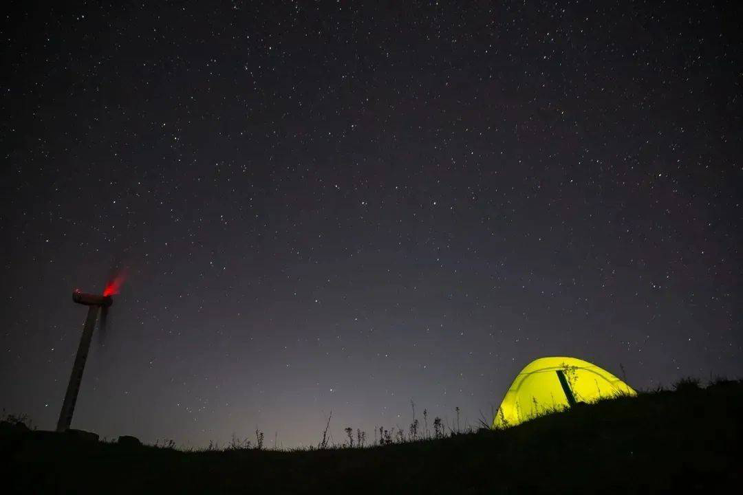 夏日森林星空萤火虫收集只属于夏日夜晚的浪漫与美好