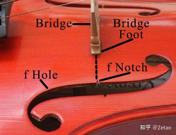 关于小提琴琴码你想知道的一切第一篇