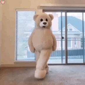 熊熊跳舞表情包合集44