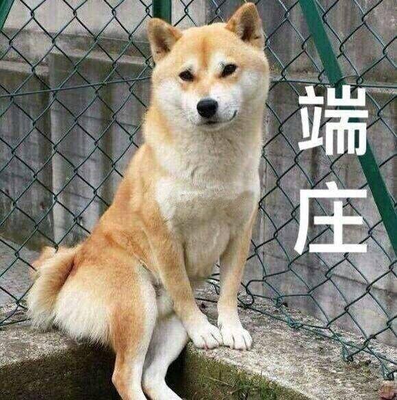 然而又懒得解释