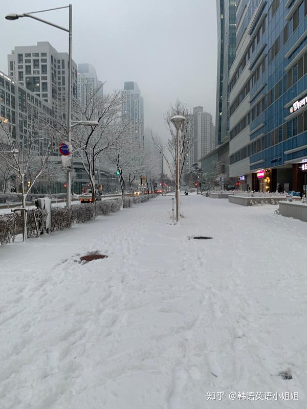 韩国2021年第一场大雪-韩国2021年1月初下大雪多次