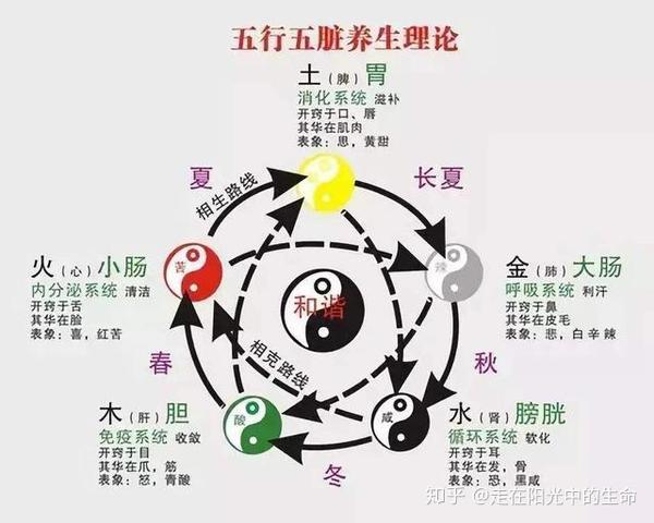 对于肺来说喜润恶燥,而且肺是娇脏,很容易受六淫邪气(风寒暑湿燥火)