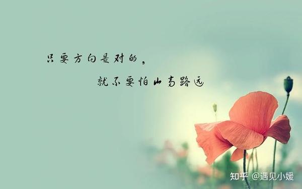 不是所有的爱都会有所回应,也不是所有的付出都会换来对方的死心塌地