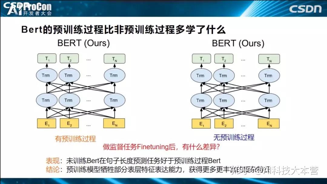 第三部分:bert 的预训练比无预训练过程多学了什么?