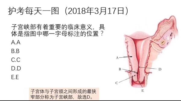 立夏护考通关宝典皇甫育人