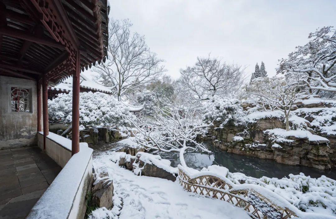 亲眼见证一次落雪的苏州城这个冬天才算是完整