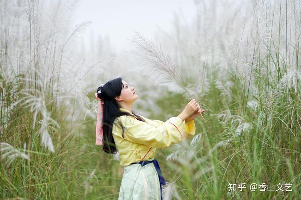 眼前的这一片蒹葭吸引了我无比深情的眷恋