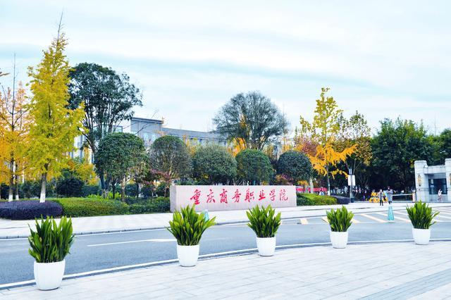 重庆商务职业学院数字媒体应用技术中外合作办学专业招生简章