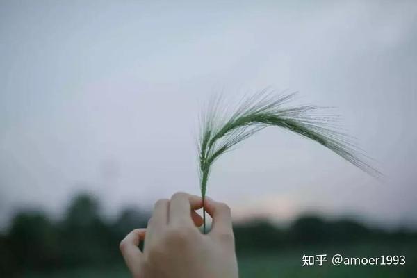 随缘就好