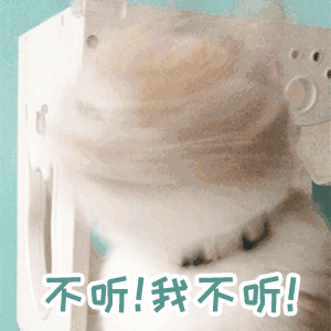 精选萌宠gif表情包:做个孤独的舔狗,弱小可怜且无助