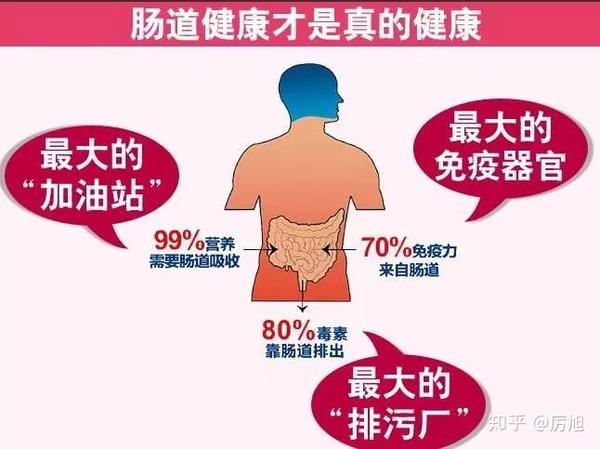 厉旭老师分享身体70的健康都取决于肠道环境你知道吗