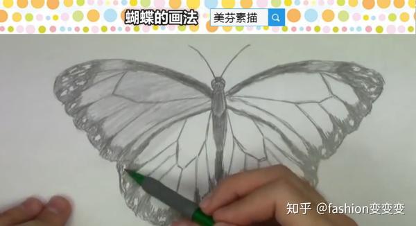 教大家画一只简单又好看的蝴蝶素描铅笔画!适合初学者