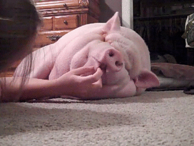 春困    上课篇