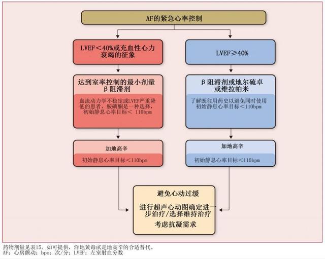 房颤的紧急心率控制流程图(来源:2016 esc/eacts房颤管理指南)