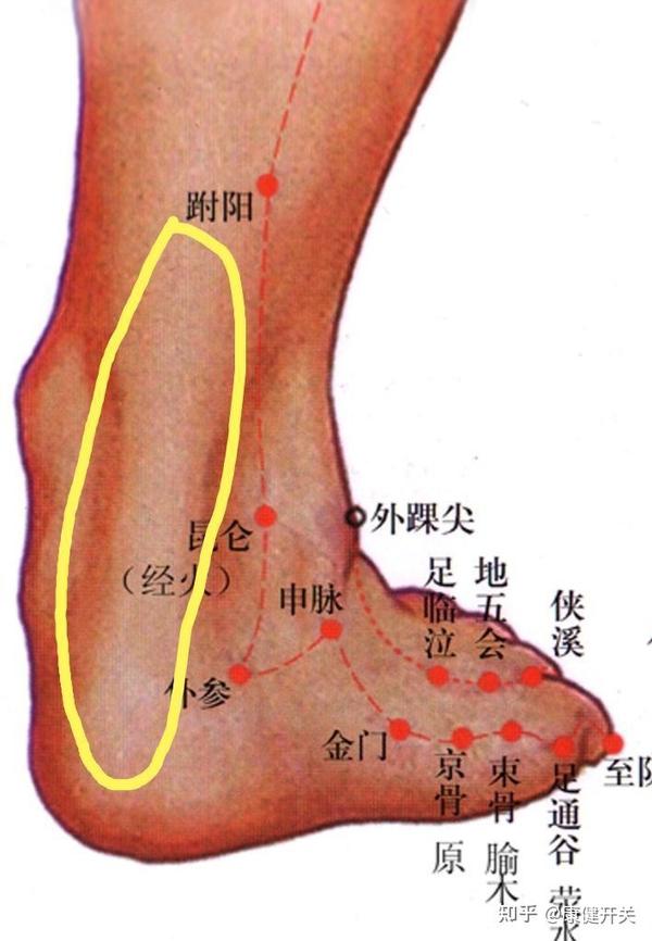 脚后跟大筋按揉下,如图圈出的区域找痛点的大筋,用手揉开,也很有效果.