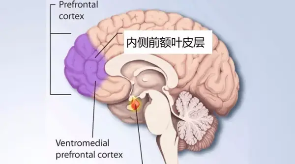 学会感恩,是给大脑最好的投资