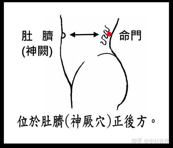 5,命门穴:位于第二,三腰椎棘突间,背部与肚脐眼齐平的地方,主要作用为