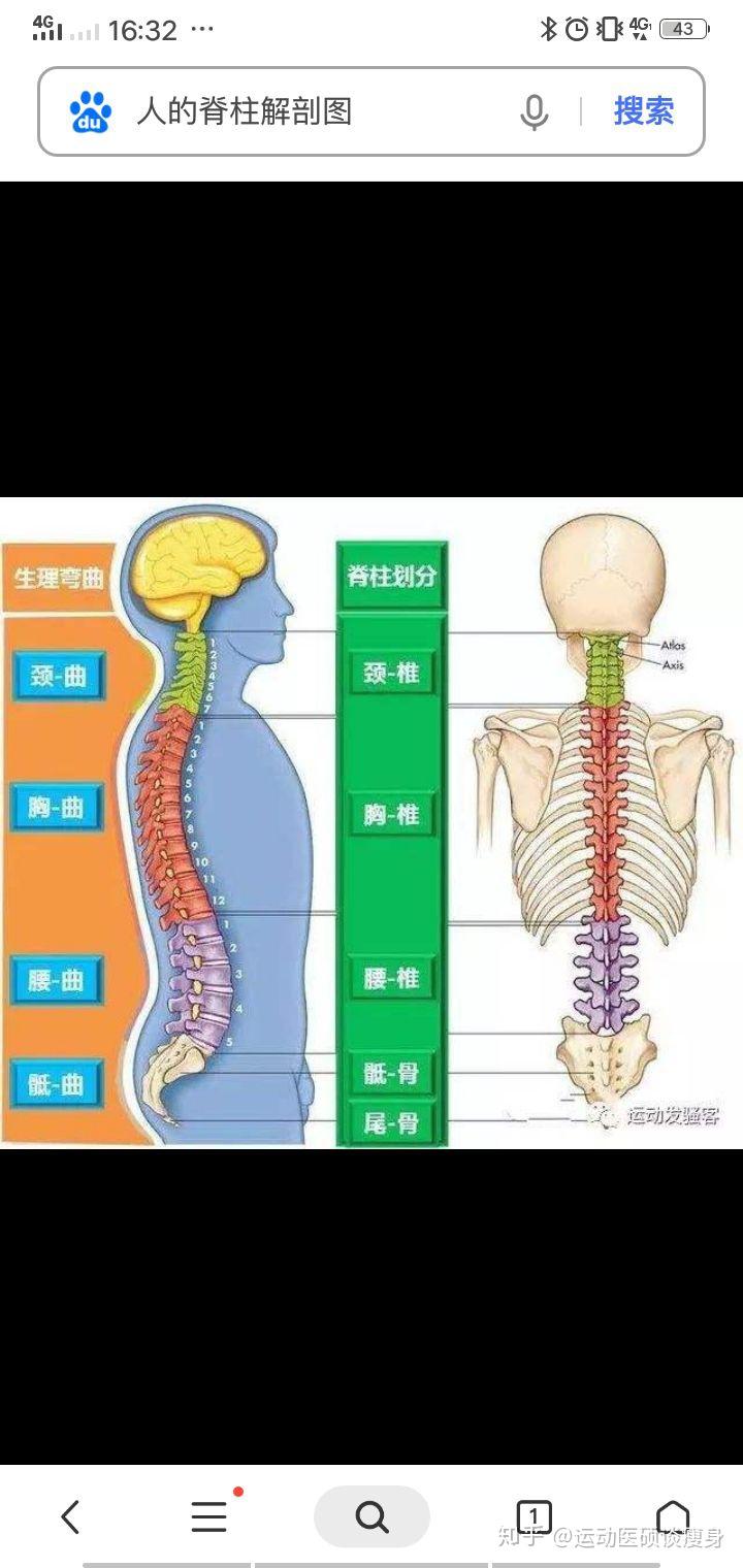 颈椎病,腰椎病康复训练从小力量负荷,人体保持静止.