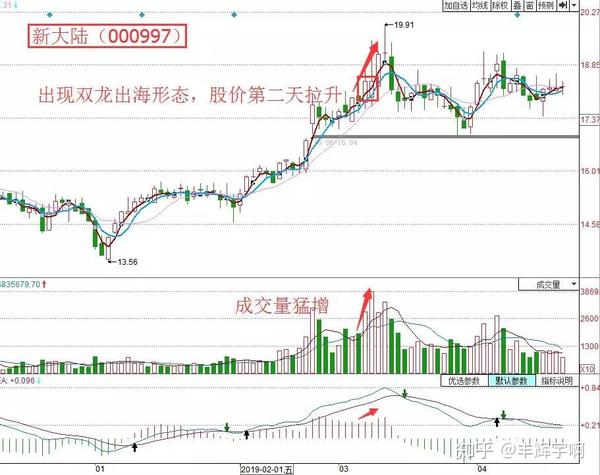 股票知识k线擒黑马之双龙出海战法