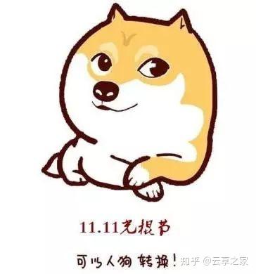 不过是一个可怜的单身狗光棍节罢了!