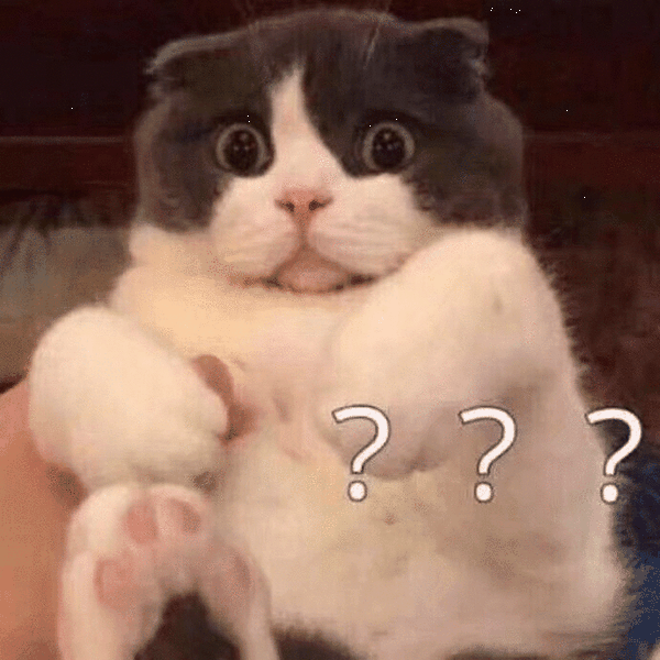 当时我表情是这样的: ……把劳资当傻绷了 ?