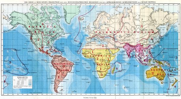 图5. 世界动物地理区系分布图(旧)