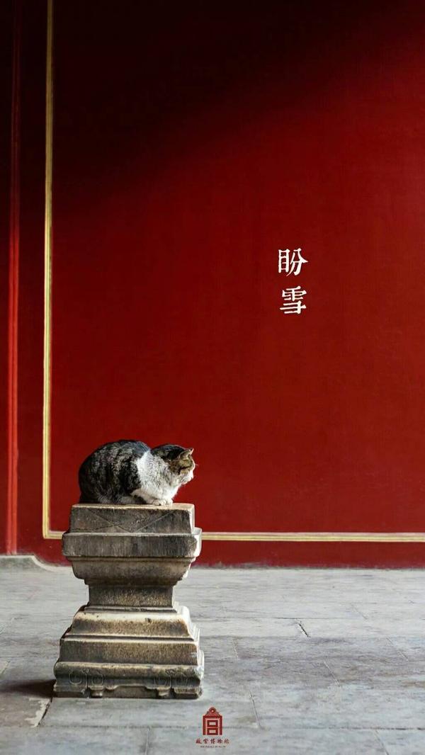 你有哪些珍藏多年的好看的壁纸?