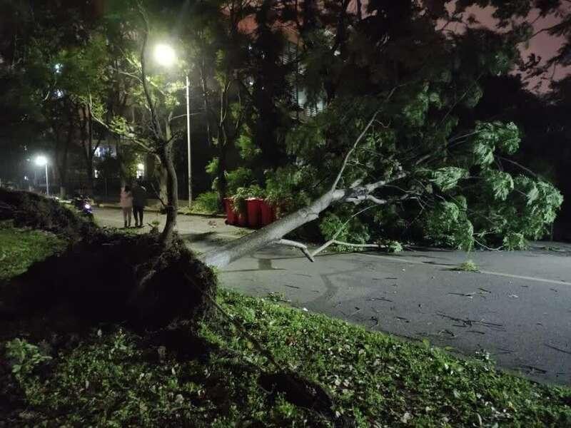 14级大风刮过太阳能热水器倒了一片