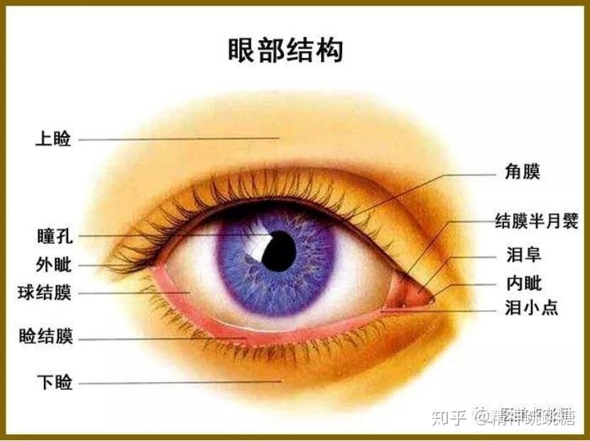 辟谣丨瞳孔不能受热别扯了医学专刊都在推荐这么做