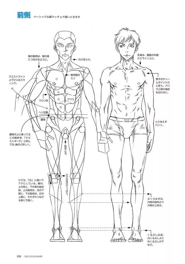 男性人体的画法教程细节真的很重要