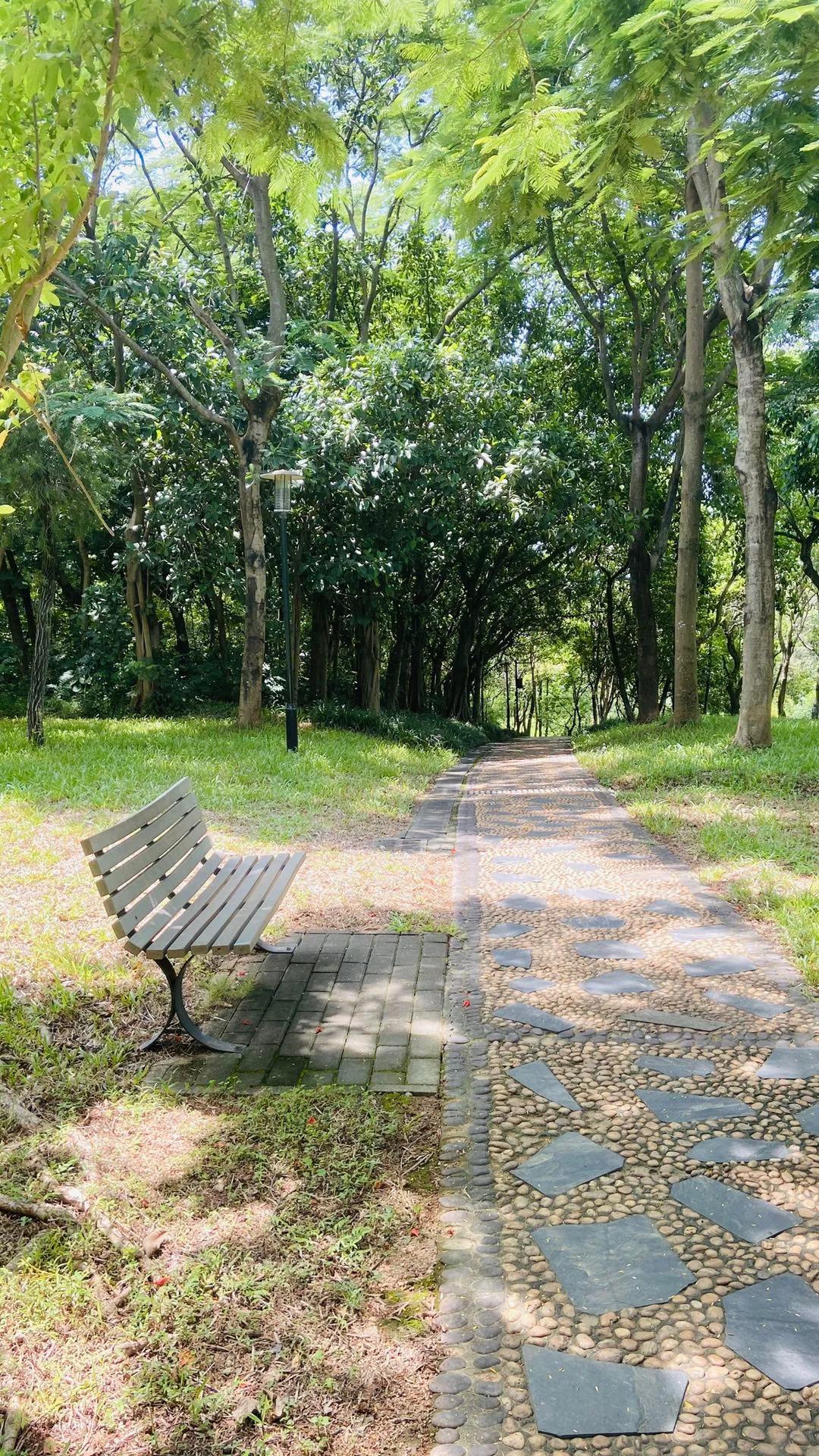 深圳最大公园-大沙河公园,周末节假日徒步游玩攻略