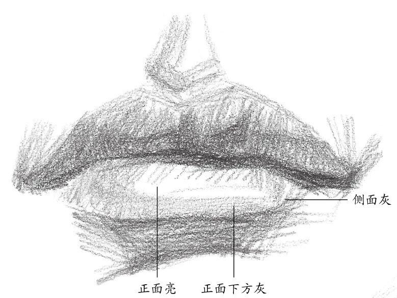 素描入门五官嘴巴的画法步骤讲解