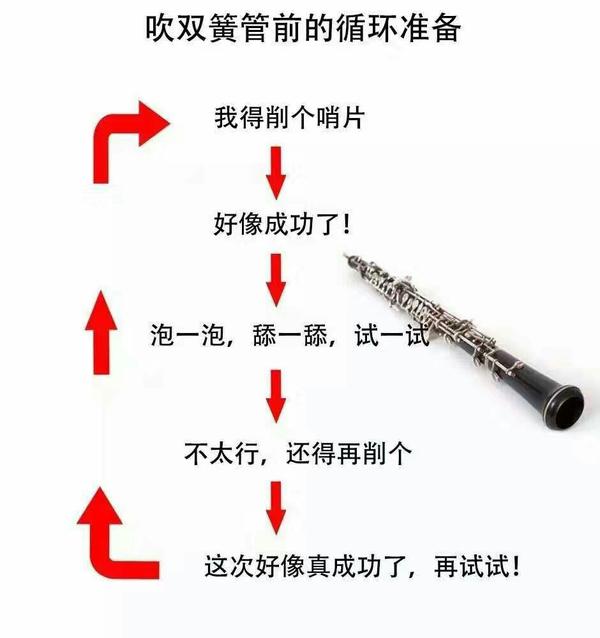 想问关于双簧管的问题,该如何学好双簧管……?