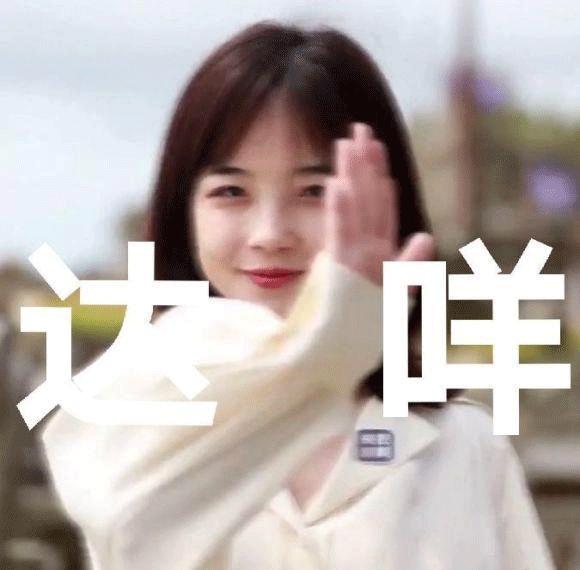 表情包烦人精