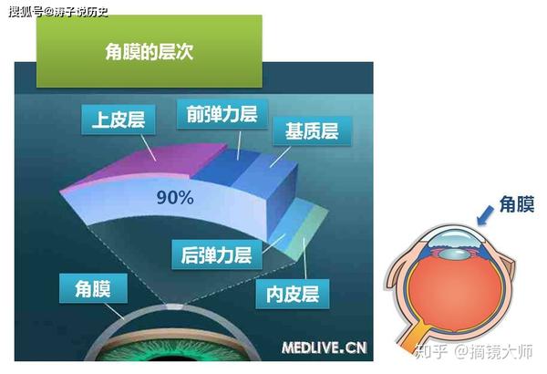 全飞秒近视手术和角膜厚度的关系