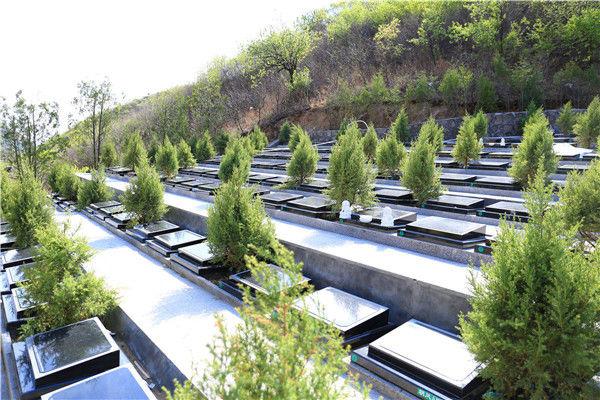北京景仰园陵园的树葬是什么样的