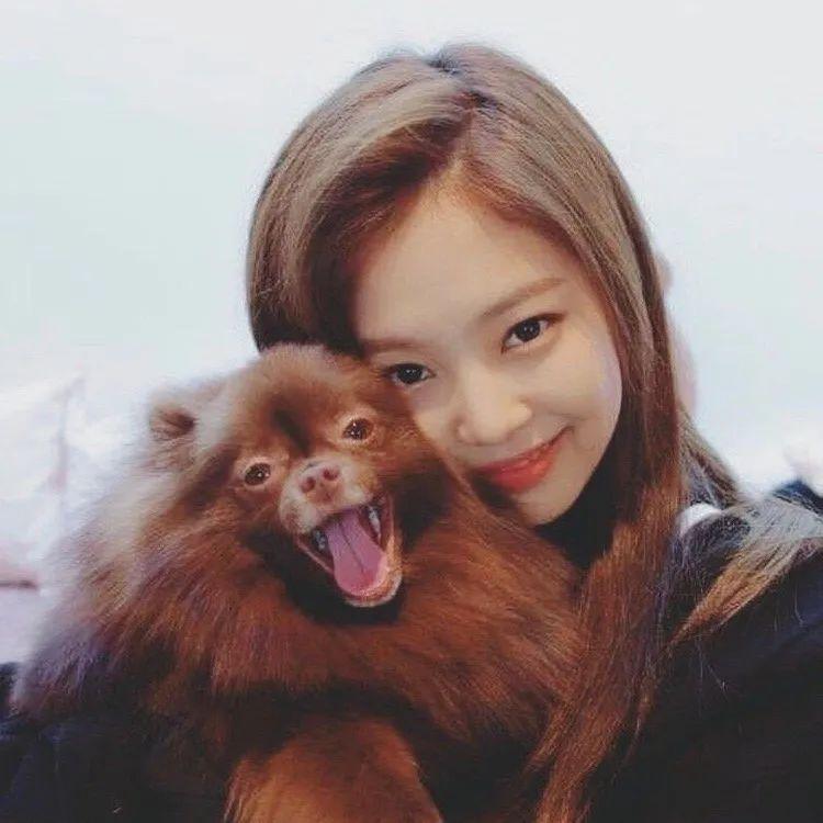 black pink金珍妮头像,Blackpink金珍妮 头像blackpinkjennie合集