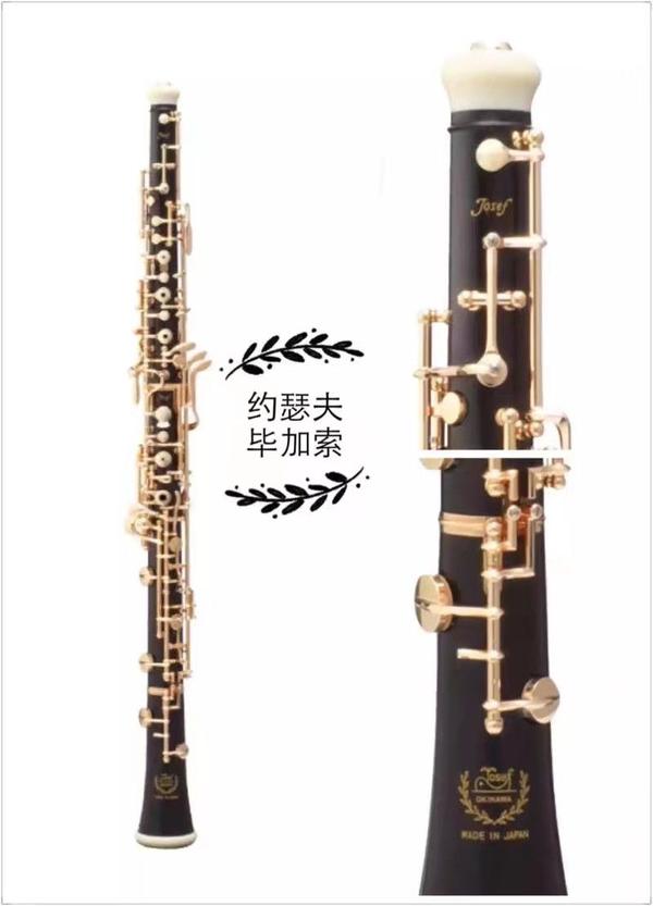 因为毕竟是走了双簧管专业,所以换了日本约瑟夫的乐器,型号是毕加索