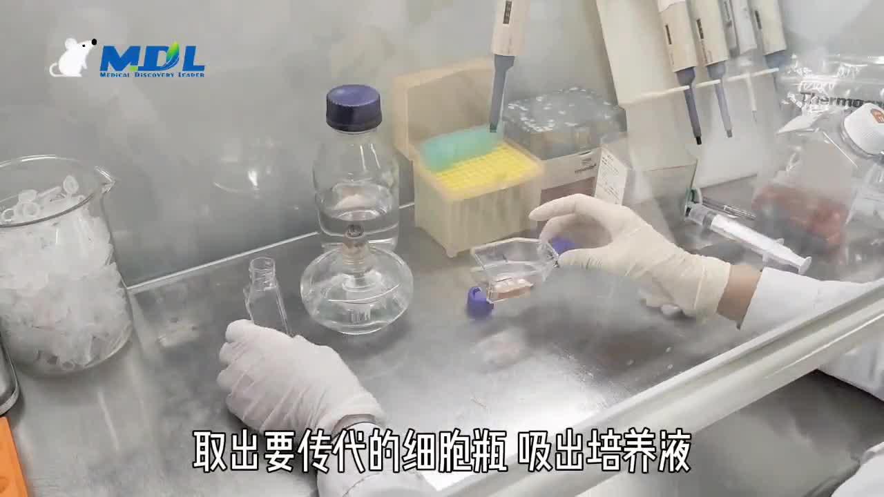 【实验技巧】细胞传代 冷冻