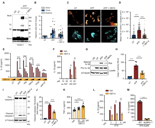 Science Immunology Vdac Nlrp