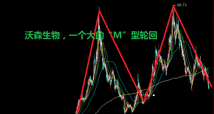 沃森生物大周期的m型走势股民何去何从