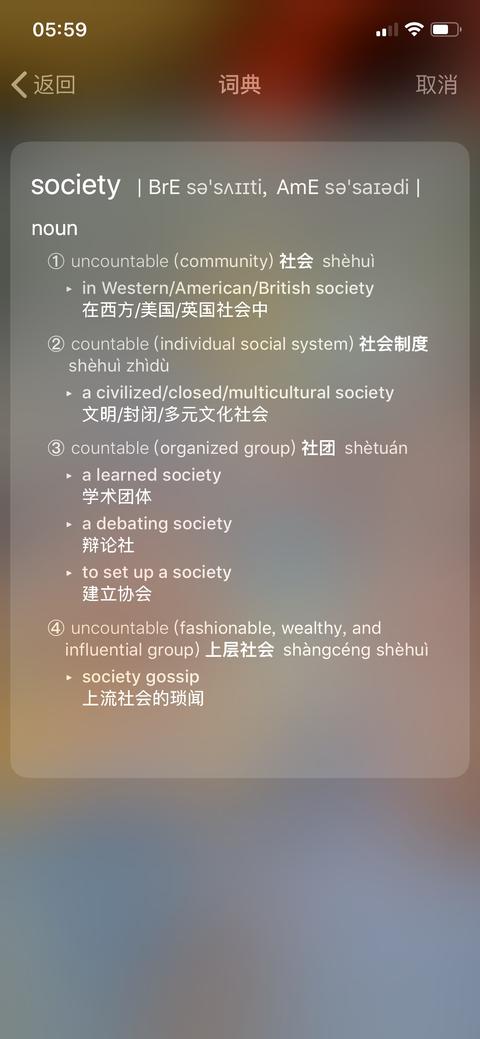 society 翻译成奇异镇 原意本来就是社会制度的意思 为什么翻译成这么