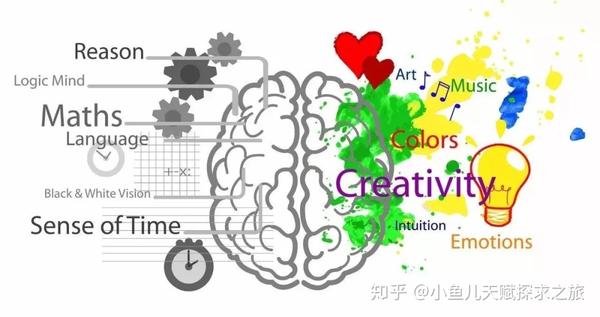 科普您知道您孩子是左脑型人还是右脑型人吗